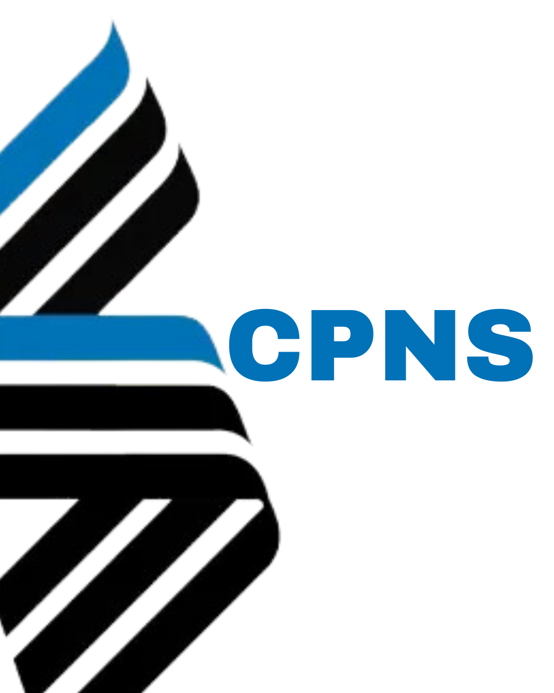 CPNS